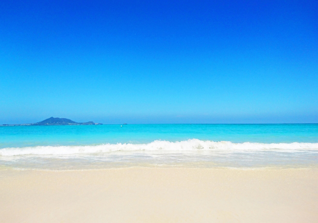 夏期休暇
